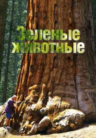  Зелёные животные смотреть онлайн тв шоу 1 сезон 