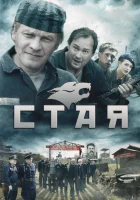  Стая смотреть онлайн сериал 1 сезон 