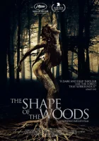  Форма леса смотреть онлайн (2021) 