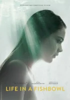  Жизнь на виду смотреть онлайн (2014) 