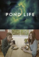  Доктор Кто: Жизнь Пондов смотреть онлайн сериал 1 сезон 