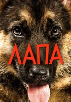  Лапа смотреть онлайн (2015) 