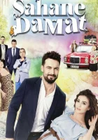  Замечательный зять смотреть онлайн сериал 1 сезон 