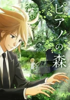  Рояль в лесу смотреть онлайн аниме сериал 1-2 сезон 