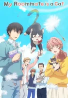  Домашний питомец, иногда сидящий на моей голове смотреть онлайн аниме сериал 1 сезон 