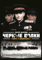  Чёрные волки смотреть онлайн сериал 1 сезон 