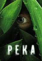  Река смотреть онлайн сериал 1 сезон 