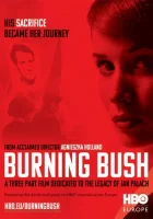  Неопалимая купина смотреть онлайн сериал 1 сезон 